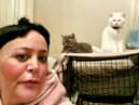 A woman claims she can only afford one meal a WEEK - as she spends most of her money feeding her cats. Yasemn Kaptan  / SWNS