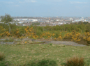 The poor animal was found dead by passers-by at a park in Wirral, Merseyside - Credit: GFA and Google Streetview