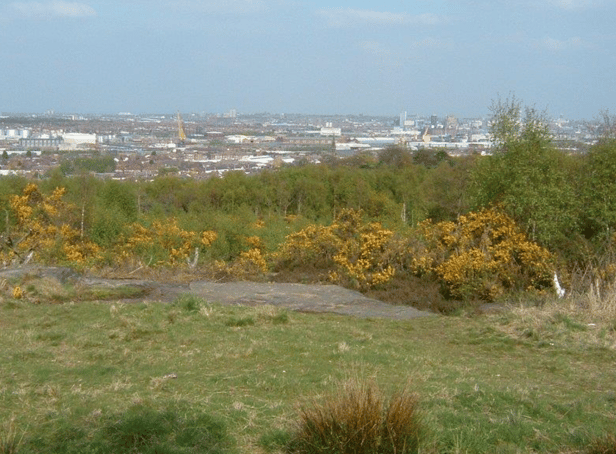 The poor animal was found dead by passers-by at a park in Wirral, Merseyside - Credit: GFA and Google Streetview