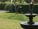 Five garden features which could affect your property’s value - from artificial grass to neglected sheds
