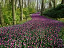 Met Office UK weather forecast confirms Spring will finally arrive this week - when temperatures will rise