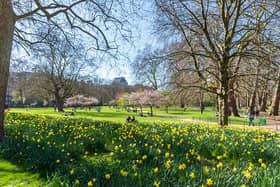 Easter weekend is set to be drier and brighter, the Met Office said (Photo by Dave Rushen/SOPA Images/LightRocket via Getty Images)