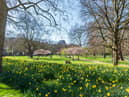Easter weekend is set to be drier and brighter, the Met Office said (Photo by Dave Rushen/SOPA Images/LightRocket via Getty Images)