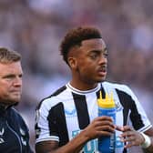 Newcastle United midfielder Joe Willock.  (Photo by Stu Forster/Getty Images)
