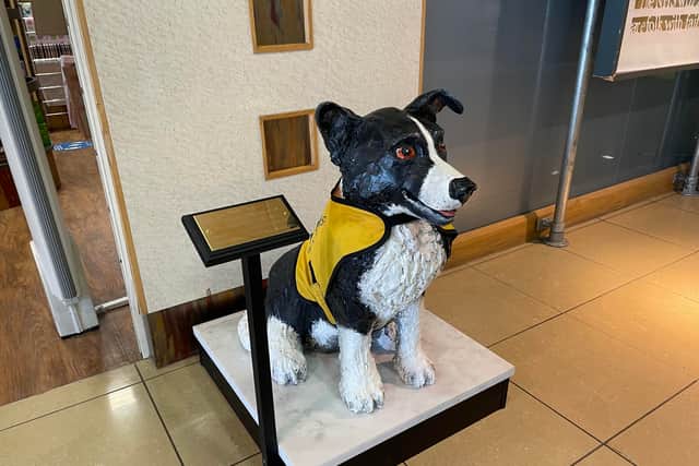 The statue of Tip the therapy dog. 