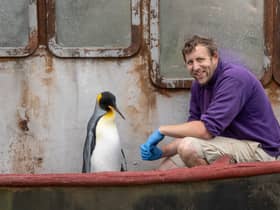 Penguin Spike is pictured with keeper Alistair Keen 