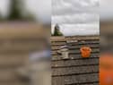 Sickening video shows young cowboy builders filming themselves ‘bodging’ a job while mocking their elderly customer.