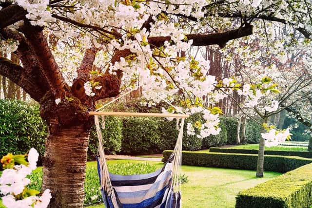 A hammock hanging from a tree can add a great touch to a garden