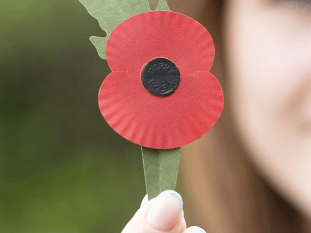 The new plastic-free poppy (Photo: Royal British Legion) 