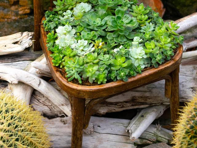 Try eco-friendly garden furniture (photo: Adobe)