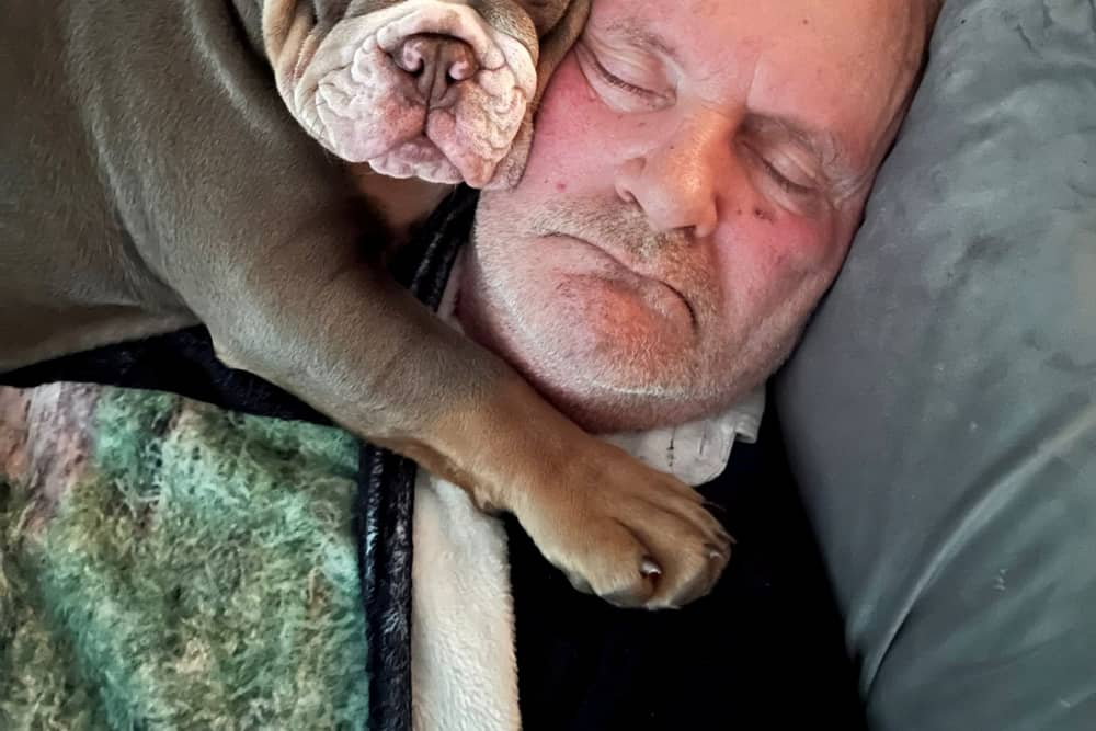 Ain’t nothing but a hound, Doc: David Lindsay with his British Bulldog puppy, Harley. 