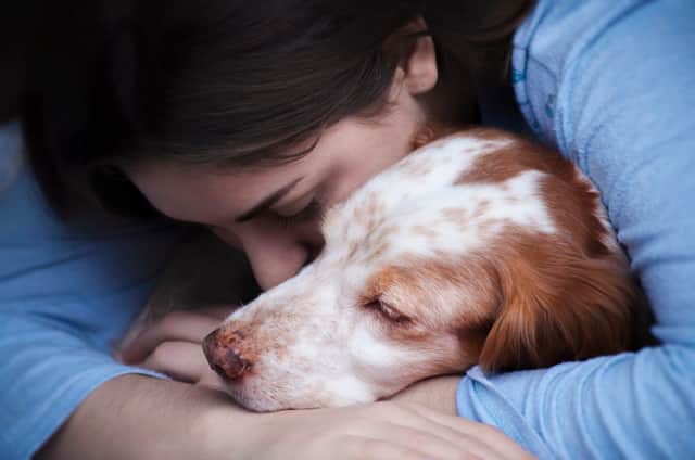 Our pets can be affected by stress and anxiety (photo: Adobe)