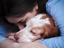 Our pets can  be affected by stress and anxiety (photo: Adobe)
