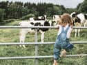 Farm animals should be treated like humans (photo: Catherine Falls Commercial)
