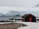 A charity is looking for a team of people to run the world’s most remote post office, which can be found in Port Lockroy bay in Antarctica, for five months. (Alexey Seafarer - stock.adobe.co)