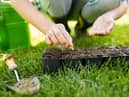 Help mum to grow her own flowerrs with seeds (photo: adobe)
