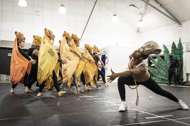 Disney's The Lion King UK & Ireland tour rehearsal images - Disney (photo: Helen Maybanks)