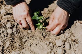 Tackling your garden in preparation for spring is no mean feat