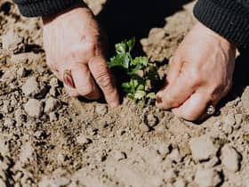 Tackling your garden in preparation for spring is no mean feat