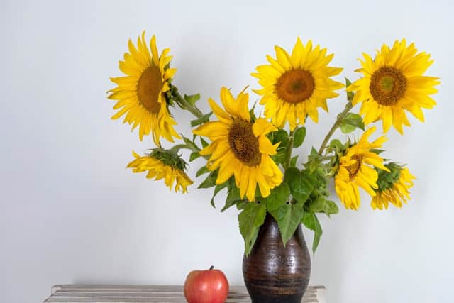 The Sunflower - a symbol of luck and lasting happiness (photo: vbaleha - stock.adobe.com)