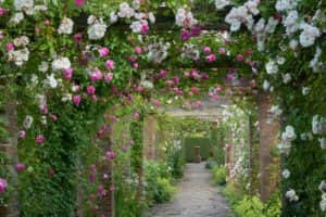 The National Garden Scheme offers inspiration for your own home