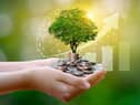 Greening your money (photo: Shutterstock)