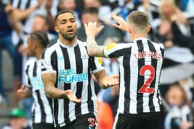 Newcastle United’s Callum Wilson celebrates his goal.