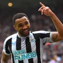 Callum Wilson of Newcastle United celebrates after scoring the team's third goal  during the Premier League match between Newcastle United and Southampton FC at St. James Park on April 30, 2023 in Newcastle upon Tyne, England. (Photo by Stu Forster/Getty Images)