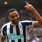 Callum Wilson of Newcastle United celebrates after scoring the team's third goal  during the Premier League match between Newcastle United and Southampton FC at St. James Park on April 30, 2023 in Newcastle upon Tyne, England. (Photo by Stu Forster/Getty Images)
