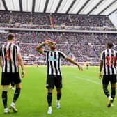 Callum Wilson of Newcastle United (C) celebrates after scoring the team's first goal during the Premier League match between Newcastle United and Southampton FC at St. James Park on April 30, 2023 in Newcastle upon Tyne, England. (Photo by Stu Forster/Getty Images)