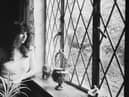 English singer-songwriter and musician Kate Bush at her family's home in East Wickham, London, 26th September 1978. (Photo by Chris Moorhouse/Evening Standard/Hulton Archive/Getty Images)