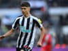 New Newcastle United contract for highly-rated talent – Eddie Howe reacts