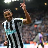 Callum Wilson celebrates scoring for Newcastle United.  