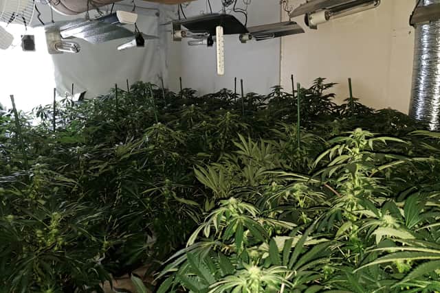 Police say the cannabis has an estimated street value of more than £200,000.