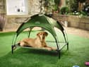 Aldi has launched a new affordable pet range to help keep pets warm during the warmer months 