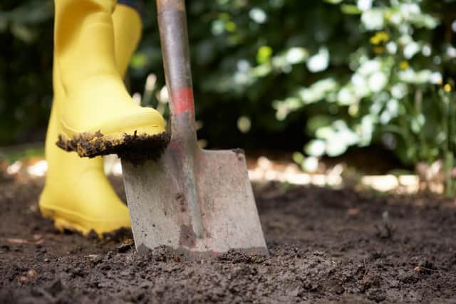High on the list for new gardeners is a good garden spade (photo: Shutterstock)
