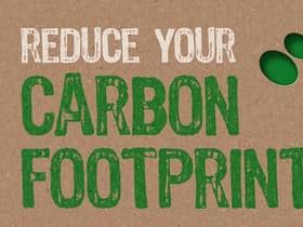 Reduce your carbon footprint (photo: Shutterstock)