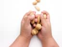 Palforzia, an oral drug, appears to reduce the risk of harm when a peanut allergy sufferer comes into contact with the foodstuff (image: Shutterstock)