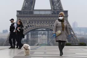 A woman wearing a protective mask walks her dog on the Esplanade du Trocadero square in front of the Eiffel Tower in March 2020 (Photo: Pascal Le Segretain/Getty Images)