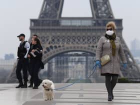 A woman wearing a protective mask walks her dog on the Esplanade du Trocadero square in front of the Eiffel Tower in March 2020 (Photo: Pascal Le Segretain/Getty Images)