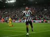Newcastle United player ratings v Brighton: 8/10 ‘led by example’ & plenty of 7/10s in 4-1 win - gallery