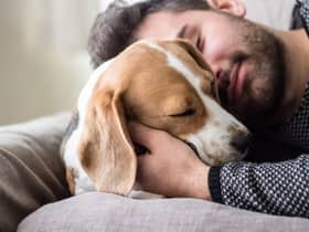 (Photo: Shutterstock)
