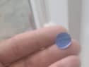 The dog owner believes the colour blue was used as her dogs are male (Image: Wirral Animal Samaritans: Facebook)