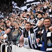 Newcastle United's supporters cheer during the English Premier League football match between Newcastle United and Brighton and Hove Albion at St James' Park in Newcastle-upon-Tyne, north east England on May 18, 2023. (Photo  (Photo by OLI SCARFF/AFP via Getty Images)