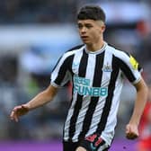 Newcastle United midfielder Lewis Miley.