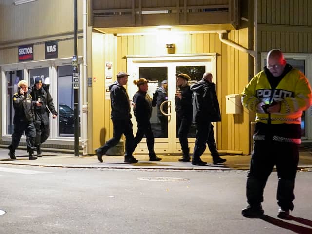 (Photo by TORSTEIN BE/NTB/AFP via Getty Images)