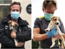 Paul “Pen” Farthing’s flight arrived at London’s Heathrow Airport at around 7.30am on Sunday (Nowzad)