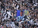 Newcastle United fans celebrate at a match