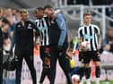 Joe Willock was withdrawn during Newcastle's win over Brighton last season (photo: Getty) 