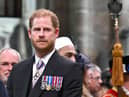 Prince Harry 